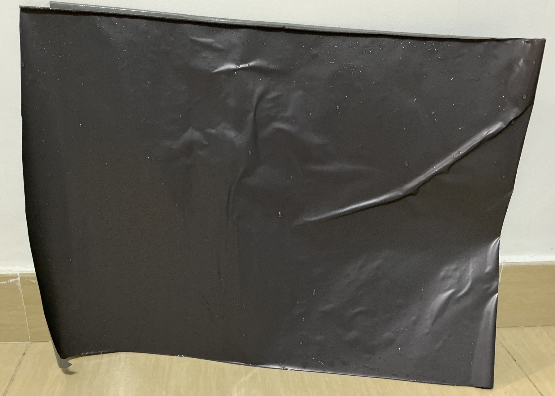 本体（洗了一下）